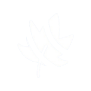 Autumn Solution Logo